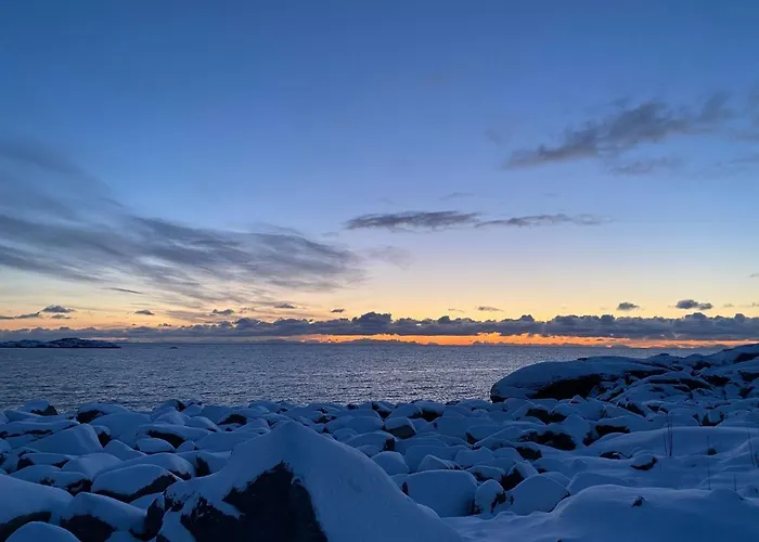 Olenilsoya Mini Reine