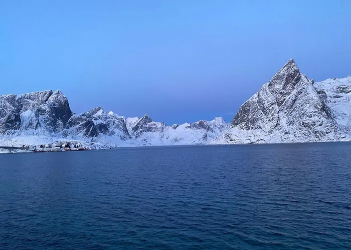 Olenilsoya Mini * Reine