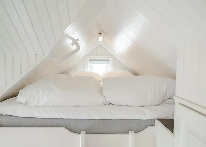 Olenilsoya Mini * Reine